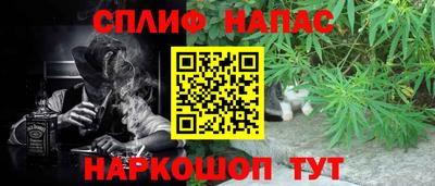 МДПВ Пенза