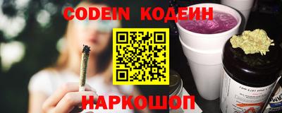 МДПВ Пенза